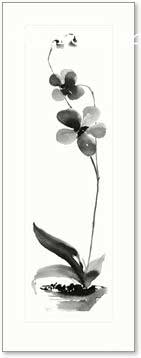 נגיעה של פרח רומנטי עיצוב מודרני מינמליסטי טבע גבעול שחור לבן